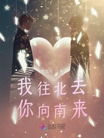 我向南你向北歌曲