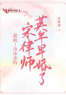 律师宋什么名字