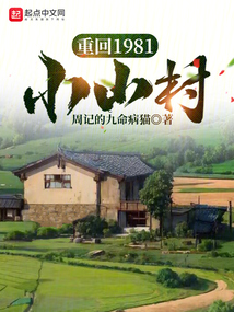 重回1981小山村TXt下载