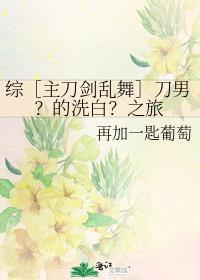 综［主刀剑乱舞］刀男？的洗白？之旅