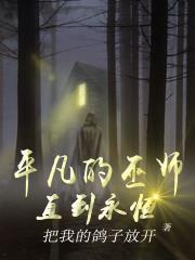 平凡魔法师的所有小说