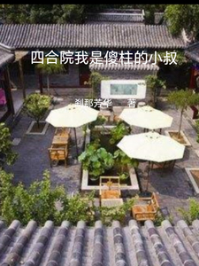 四合院 我是傻柱