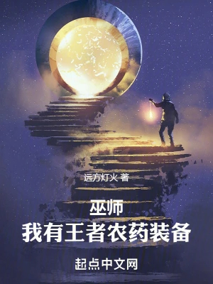 巫师我有王者农药装备小说